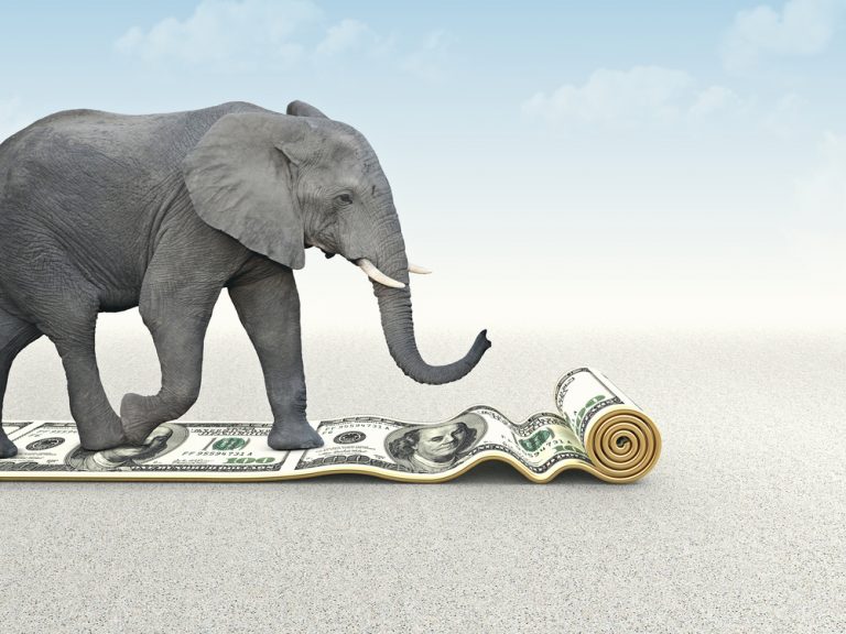 Controller & Remote CFO Services [Image: Elephant walking on dollars]]